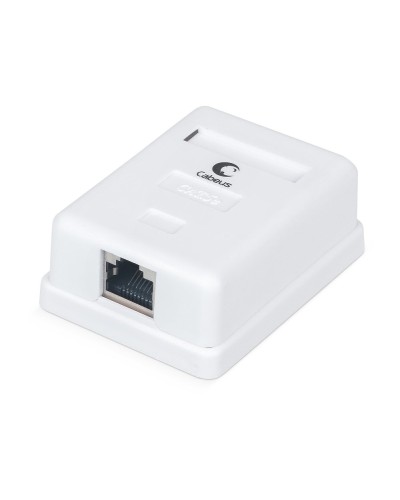 WS-8P8C-Cat.5e-SH-1 (7485c): Розетка RJ-45 в Майкопе