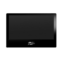 FX-PVD100GT (ВАН ГОГ 10B). Монитор видеодомофона цветной. Fox