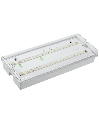 Светильник аварийный ДПА 5042-1 1ч IP65 LIGHTING (LDPA0-5042-1-65-K01). Светильник аварийный универсальный. IEK в Майкопе