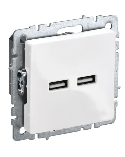 Розетка USB A+A 3,1А РЮ10-1-БрБ белый BRITE (BR-U21-D31-K01). Розетка USB. IEK в Майкопе