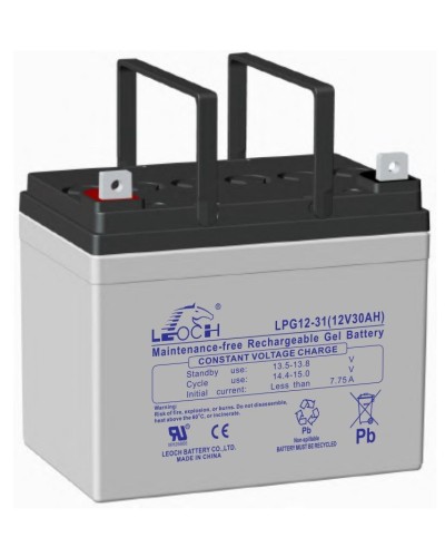 LEOCH LPG 12-31. Аккумулятор герметичный свинцово-кислотный. LEOCH в Майкопе