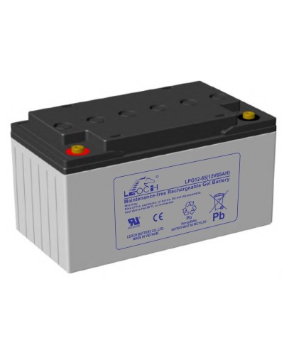 LEOCH LPG 12-65. Аккумулятор герметичный свинцово-кислотный. LEOCH в Майкопе