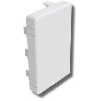 Заглушка 120х60 LAN (00877): Заглушка для короба