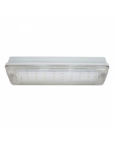 SL-213-30LED1.8 исп. 1 IP65. Светильник аварийного освещения. ИП Раченков А.В. в Майкопе