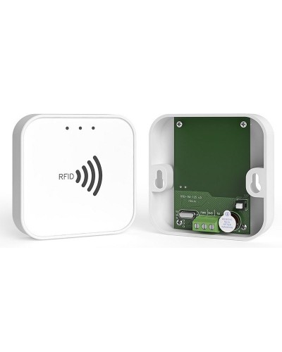 RFID-TM. Считыватель RFID. Ритм в Майкопе