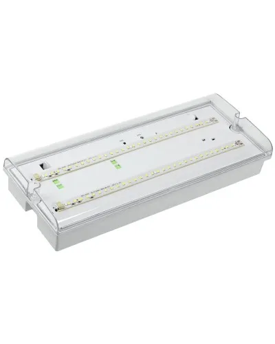 Светильник аварийный ДПА 5042-1 1ч IP65 LIGHTING (LDPA0-5042-1-65-K01). Светильник аварийный универсальный. IEK в Майкопе