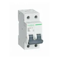 City9 Set 2P 25А 4.5kA С (C9F34225). Автоматический выключатель. Systeme Electric