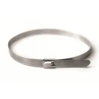 Хомут из нержавеющей стали AISI 304 8х300 (30 шт) (27412): Хомут из нержавеющей стали