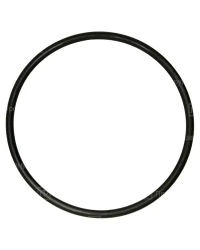 Кольцо резиновое уплотнительное для двустенной трубы D110 (PR08.3159). Кольцо резиновое уплотнительное для двустенной трубы. Промрукав в Майкопе